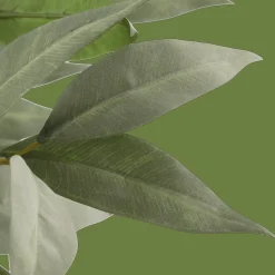 Aritificial Eucalyptus Plant in Ceramic Pot