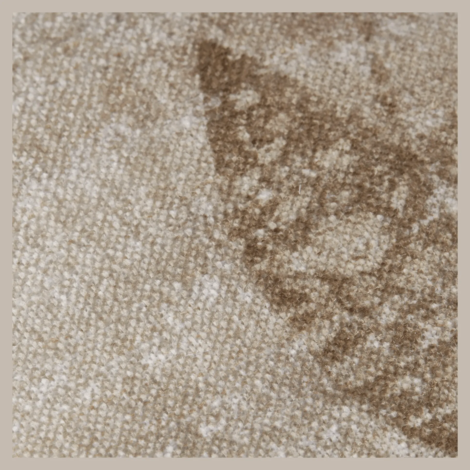 Arriet Decorative Pillow