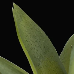 Artificial Cast-Iron Plant in White Speckled Pot