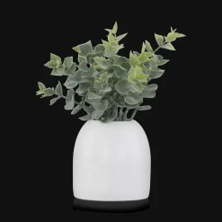 Artificial Eucalyptus in Ceramic Pot