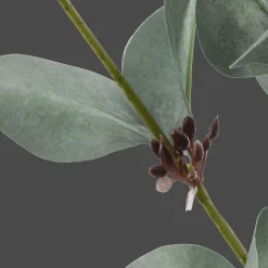 Artificial Eucalyptus Stem