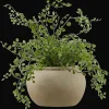 Artificial Fern