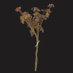 Artificial Hemlock Flower Stem