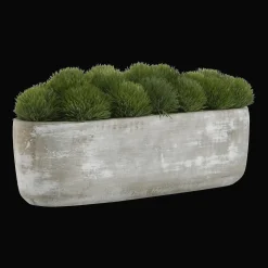 Artificial Moss in Cement Pot