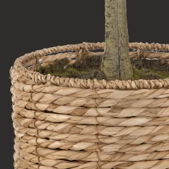 Artificial Olive Tree in Basket