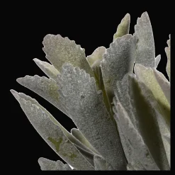 Artificial Panda Plant in Ceramic Pot