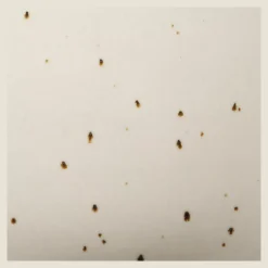 Artificial Plant in Beige Speckled Pot