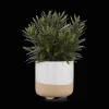 Artificial Plant in Ceramic Pot