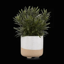 Artificial Plant in Ceramic Pot