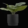 Artificial Plant in Striped Ceramic Pot