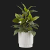 Artificial Plant in Striped Pot