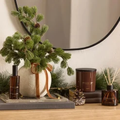 Autumn Spices Diffuser