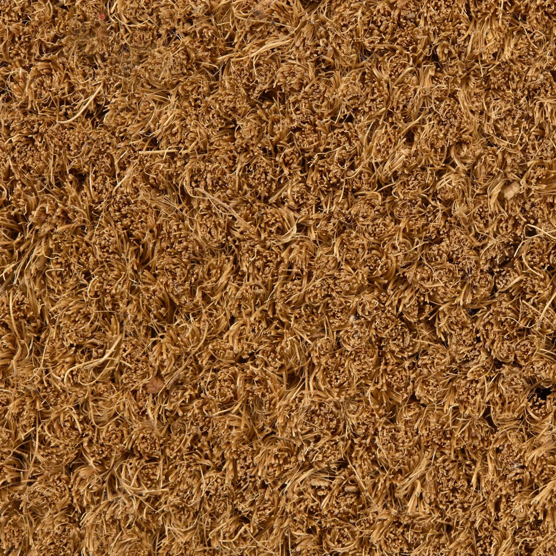 Bienvenue chez nous Doormat