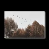 Birds over Fall Forest Printed Canvas