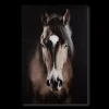 Brown Horse Printed Canvas