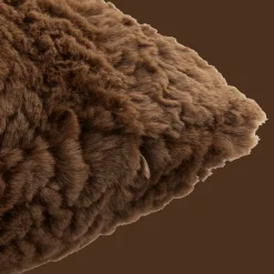 Brown Set of 2 Ellyn Decorative Pillow