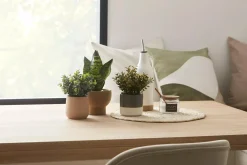 Ceramic Oil Bottle with Pouring Spout