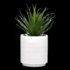 Ceramic Potted Tropical Plant