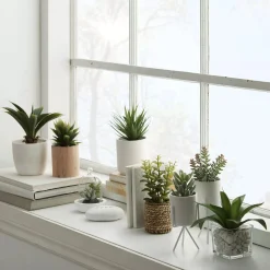 Ceramic Potted Tropical Plant