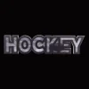 Decorative Light-Up Hockey Sign