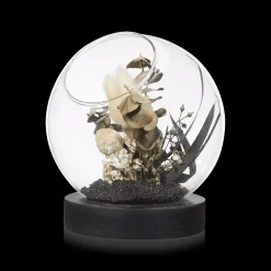 Decorative Stems in Glass Dome