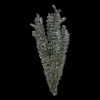 Dried Eucalyptus Bouquet