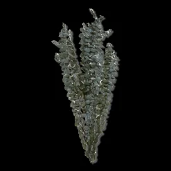 Dried Eucalyptus Bouquet