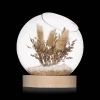 Dried Flowers Glass Dome