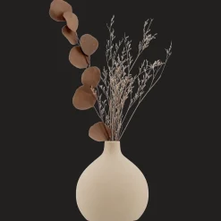 Dried Stem in a Vase