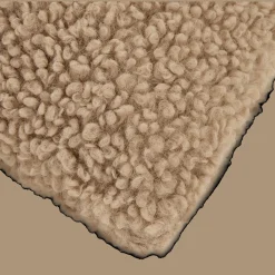 Emery Brown Teddy Throw Pillow