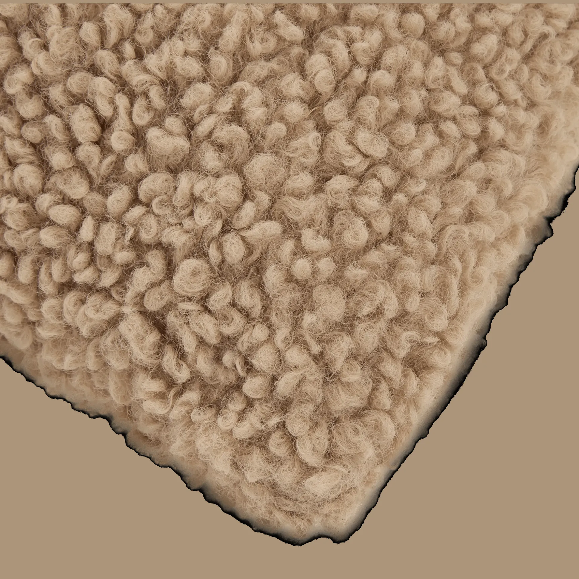 Emery Brown Teddy Throw Pillow