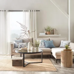 Eucalyptus in Ceramic Pot