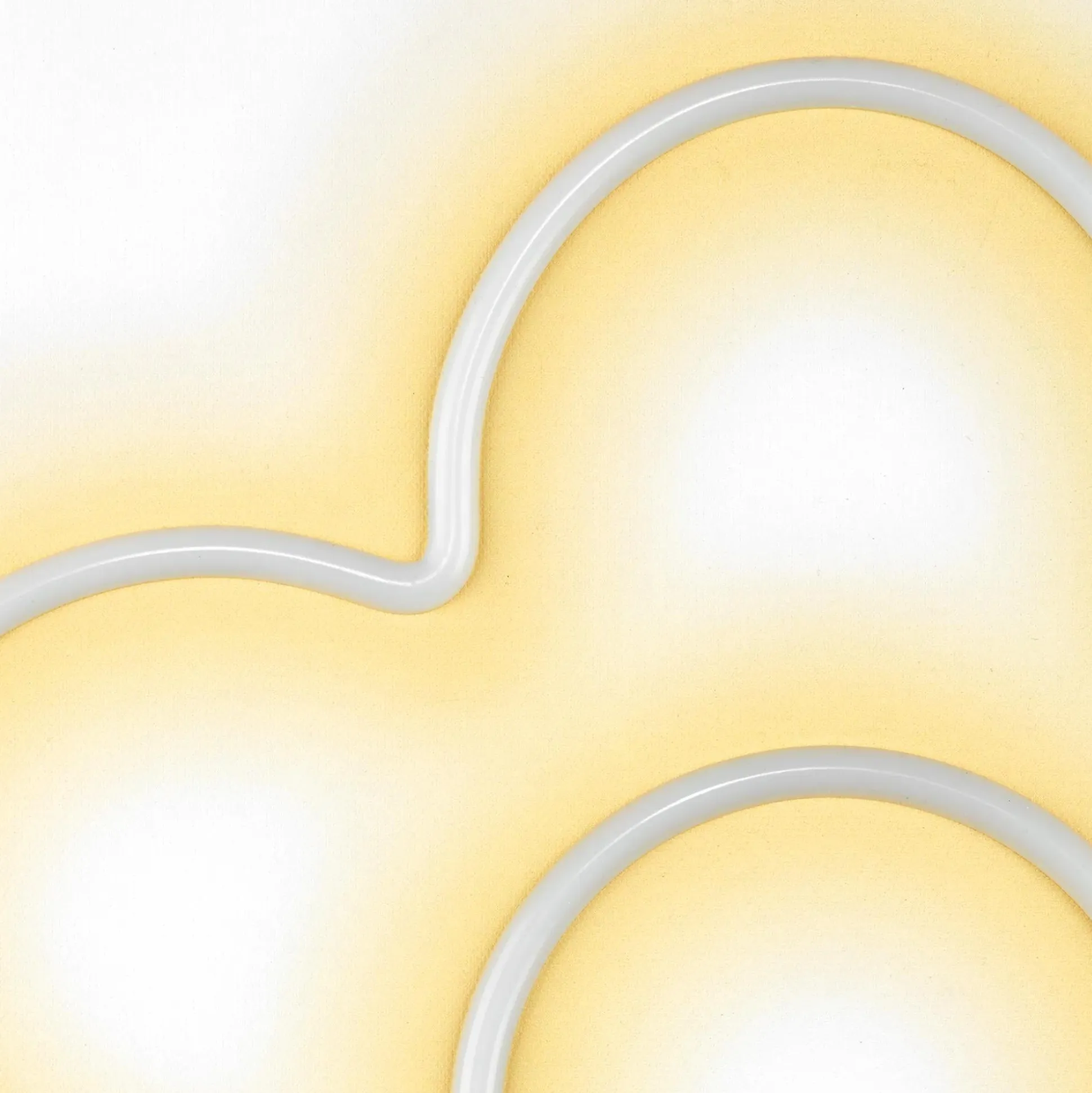 Floral LED Neon Wall Decoration