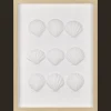 Framed Art 3D Shells