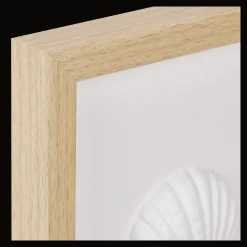 Framed Art 3D Shells