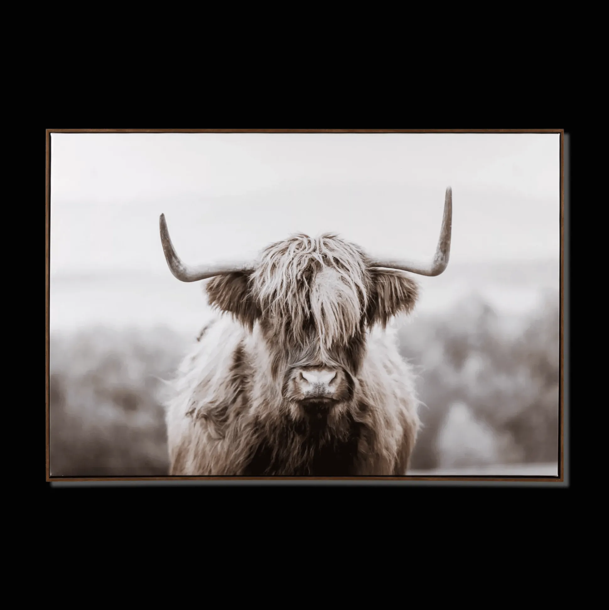 Furry Highland Cow Framed Art