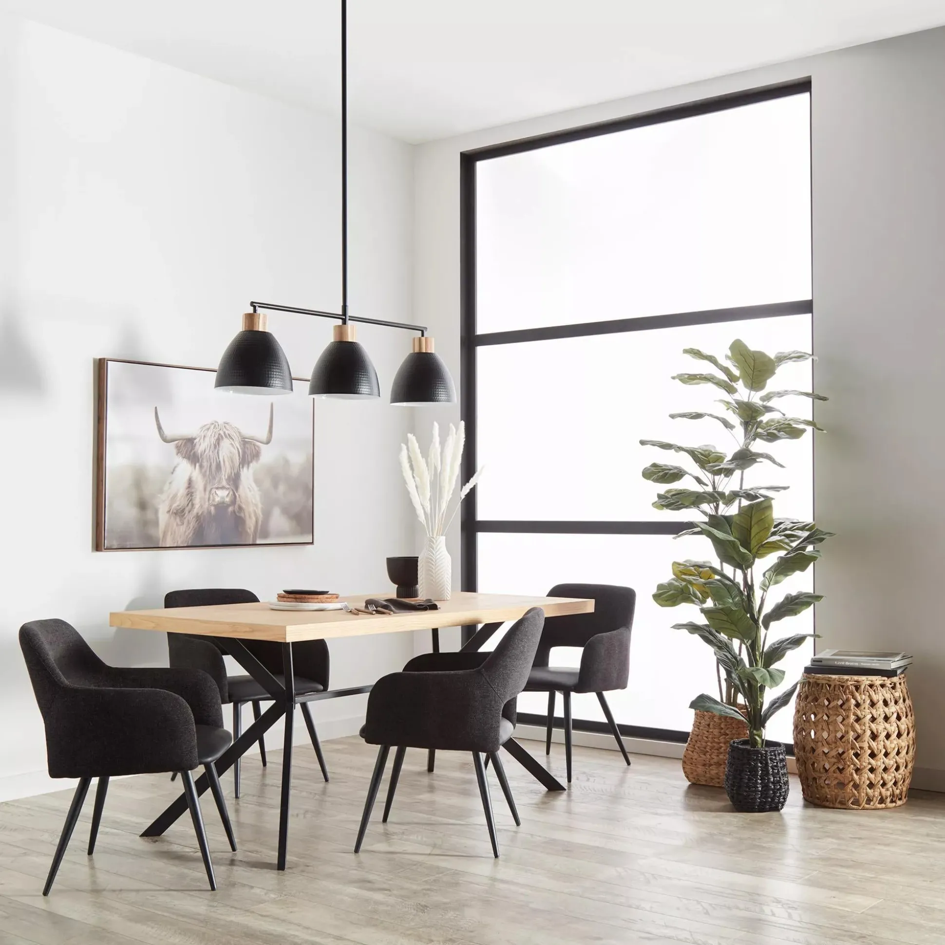 Furry Highland Cow Framed Art