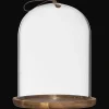 Glass Dome with Wood Base