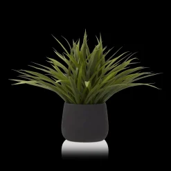 Grass in Ceramic Pot