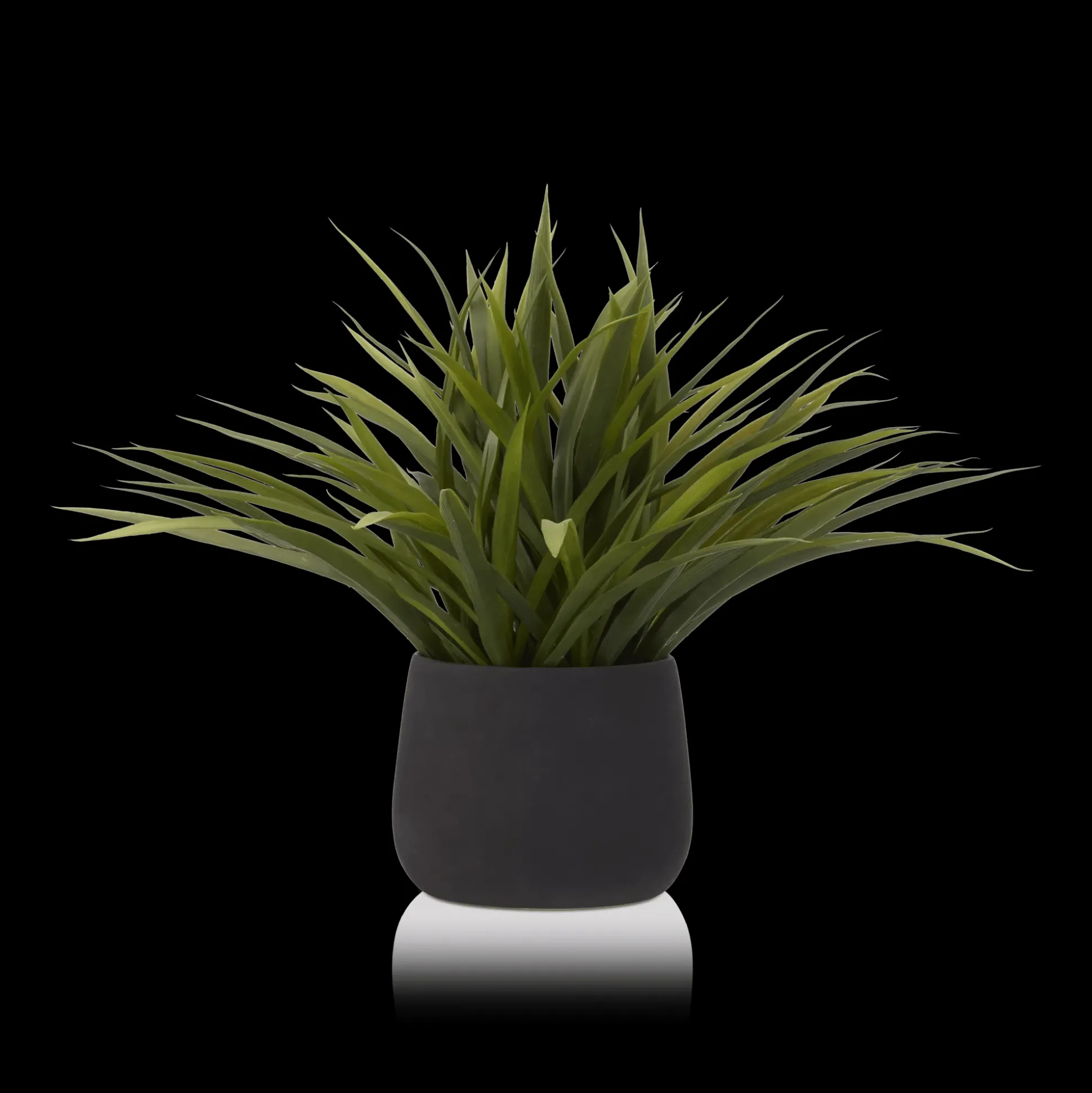 Grass in Ceramic Pot