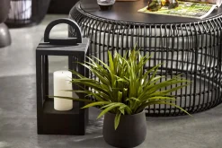 Grass in Ceramic Pot