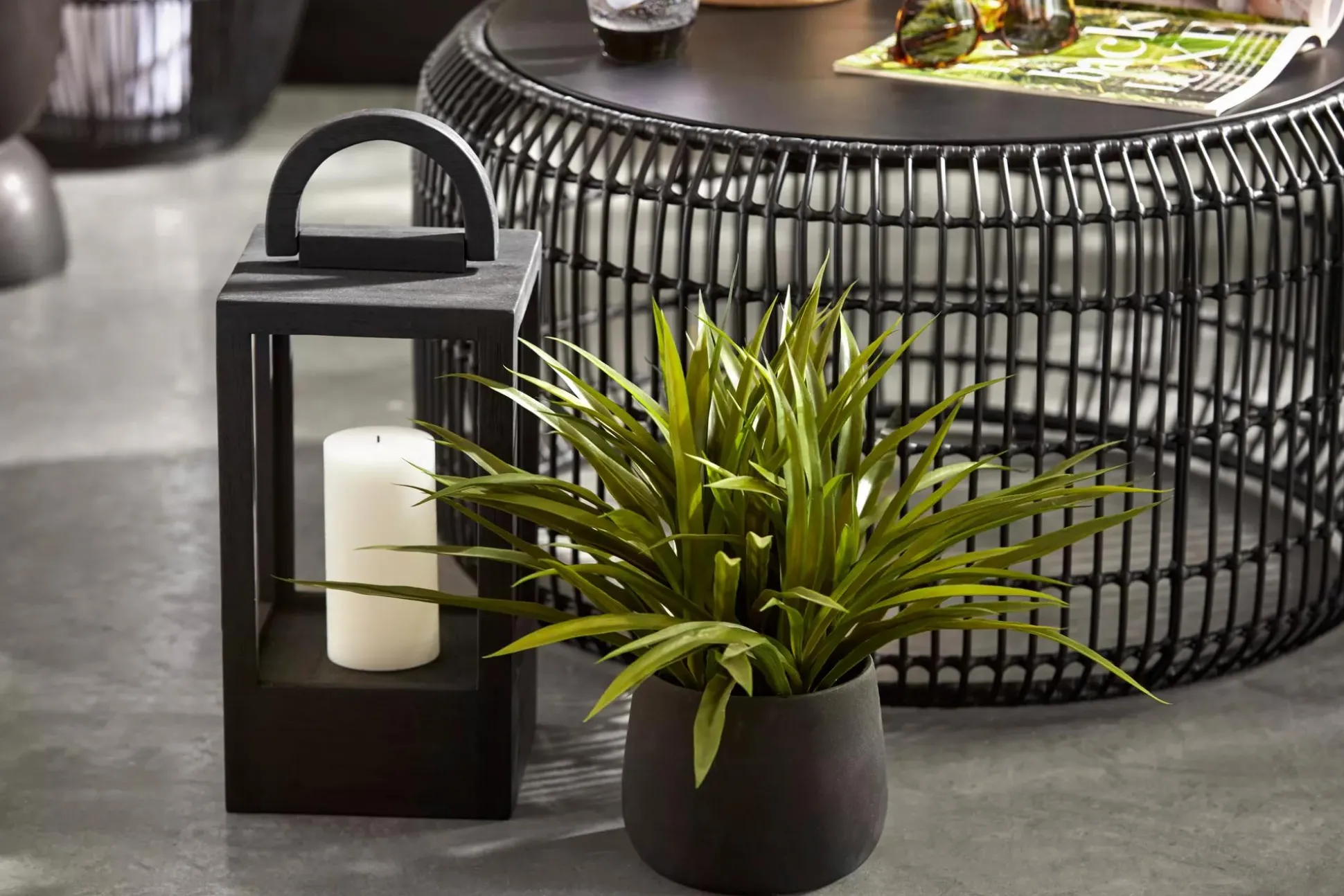 Grass in Ceramic Pot