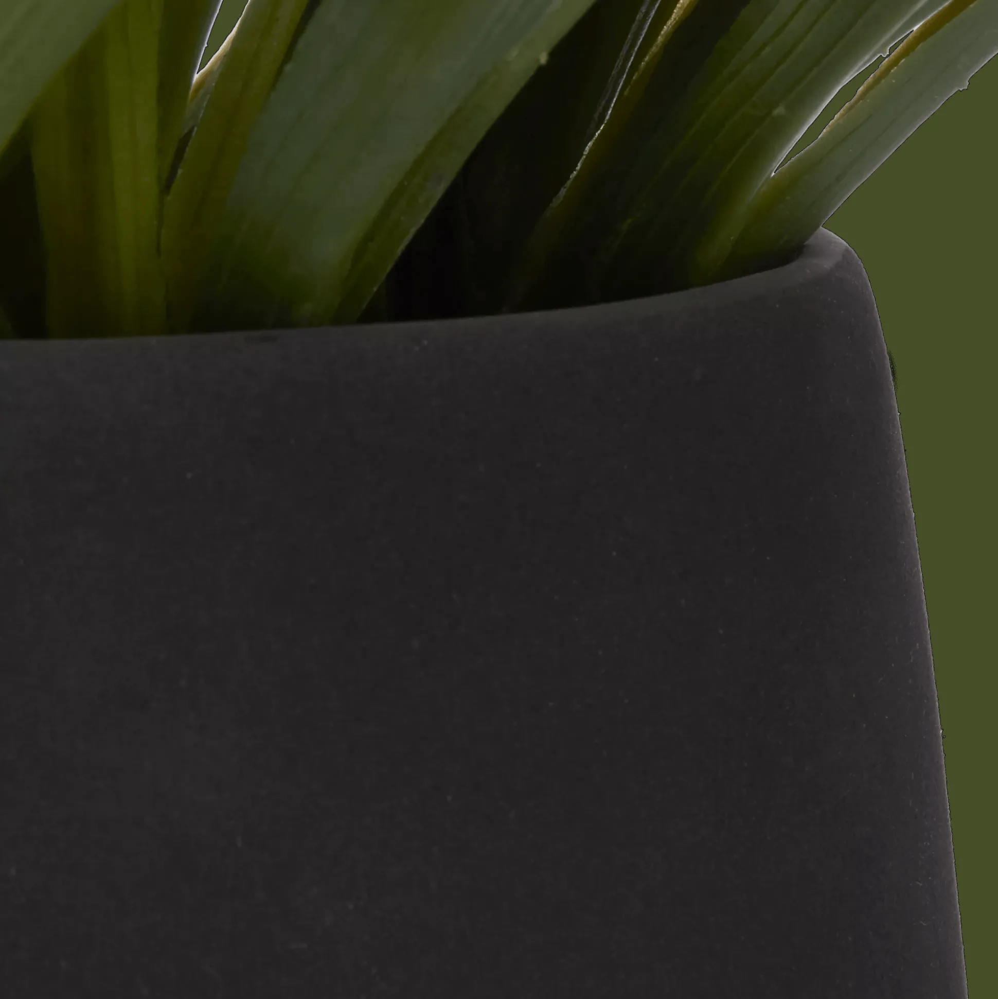 Grass in Ceramic Pot