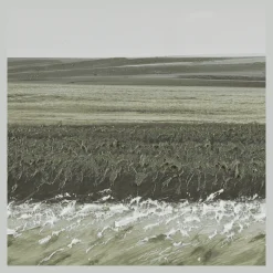 Green Landscape Framed Art