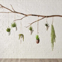 Hanging Leaves