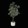Large Artificial Aralia Tree