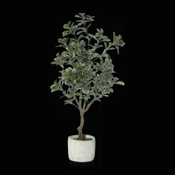 Large Artificial Aralia Tree