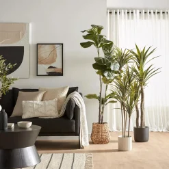 Large Fiddle-Leaf Fig Potted Floor Plant