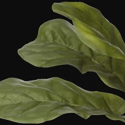 Large Fiddle-Leaf Fig Potted Floor Plant