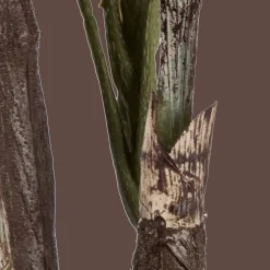 Large Fiddle-Leaf Fig Potted Floor Plant